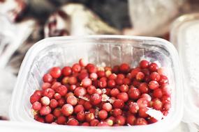 juicy ripe frozen berries