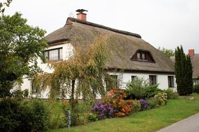 House Hiddensee Vitte Thatched