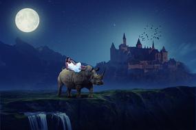Manipulation Animal Rhino