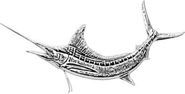 marlin fish sword fish game fishing