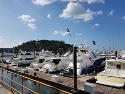 Bay Barca Boats