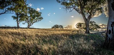 Sunset Evening Landscape
