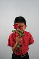 Red Roses
