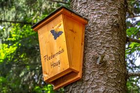 Bat House Accommodation