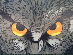 Eagle Owl Art
