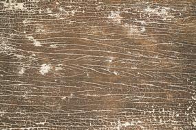 Wood-Fibre Boards Texture Wood