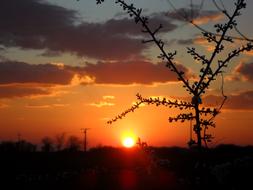Sky Sunset Sun