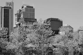 Small City Town Skyline Black And