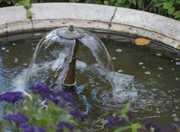 Fountain Water Garden