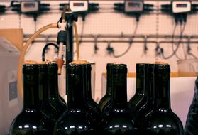 corked wine bottles