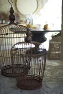 Cage Bird Metal