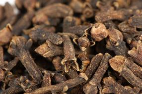 dried fragrant cloves