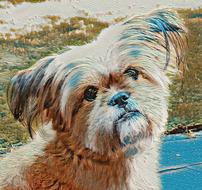 painted decorative dog
