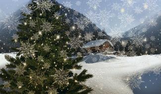 New year landscape with christmas tree outside the house