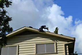 Roofing Rooftop Home