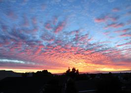 Sunset Landscape Nature