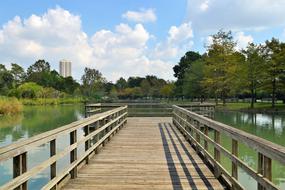 Herman National Park Boardwalk