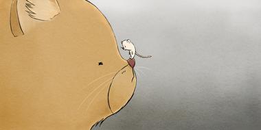 cat cat and mouse cute mouse