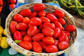 ripe tomatoes in a basket