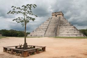 pyramid sand tree view