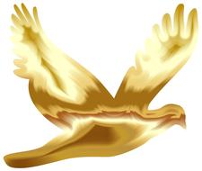animal bird dove flying wings