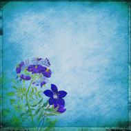 background flowers bouquet blue