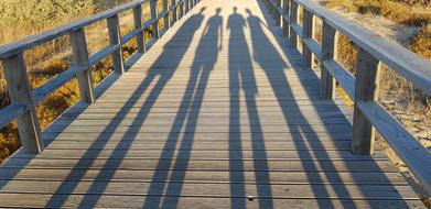 Shadow Sunset