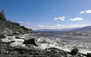 Beach Sea Coast