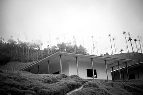 Cabin Black And White Peasant Hard