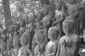 gray buddhas much india