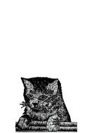 kitten cat black and white illustration