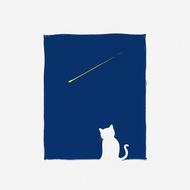 fairy tale cat night meteor