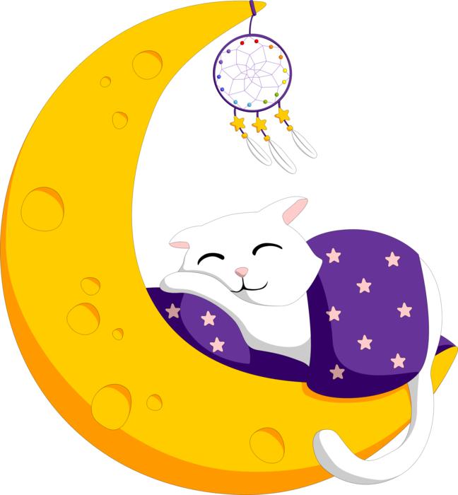 crescent sleeping cat dreamcatcher