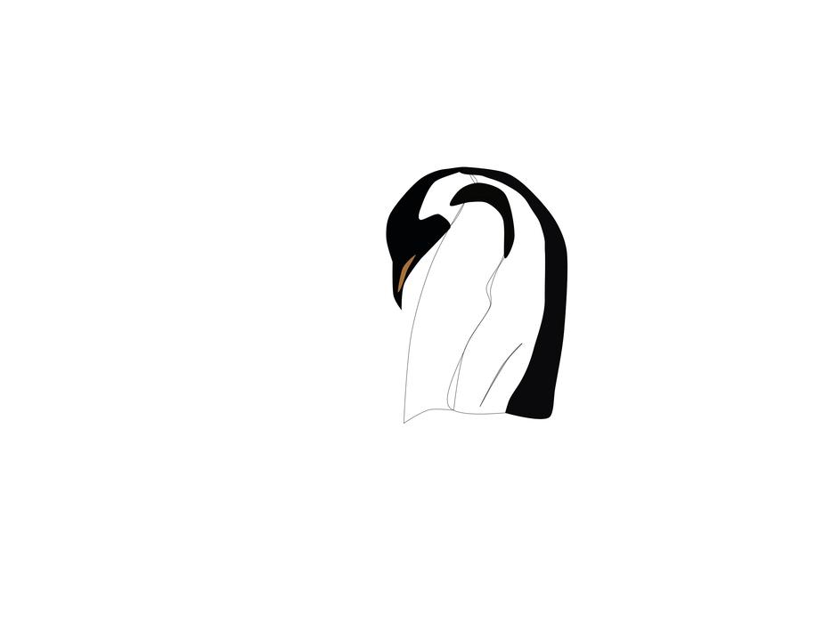 penguin emperor antarctica polar
