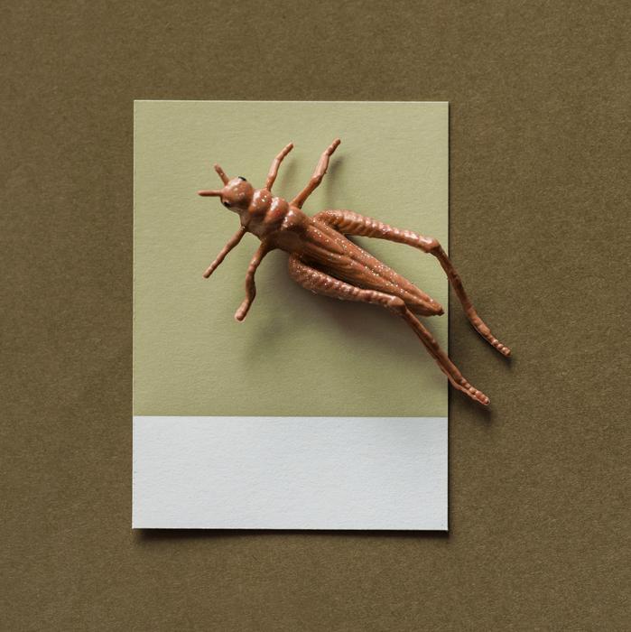 Abstract Background Brown