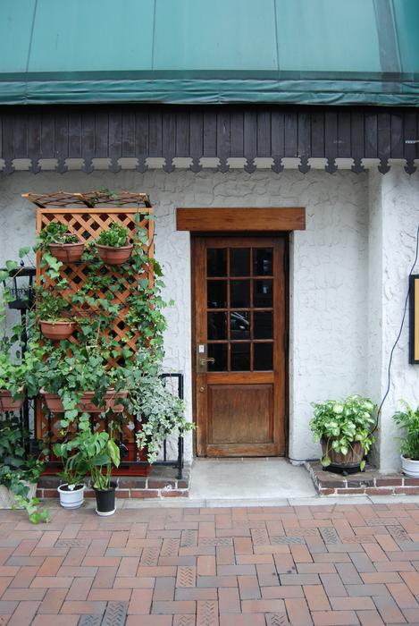 cozy house with flowers