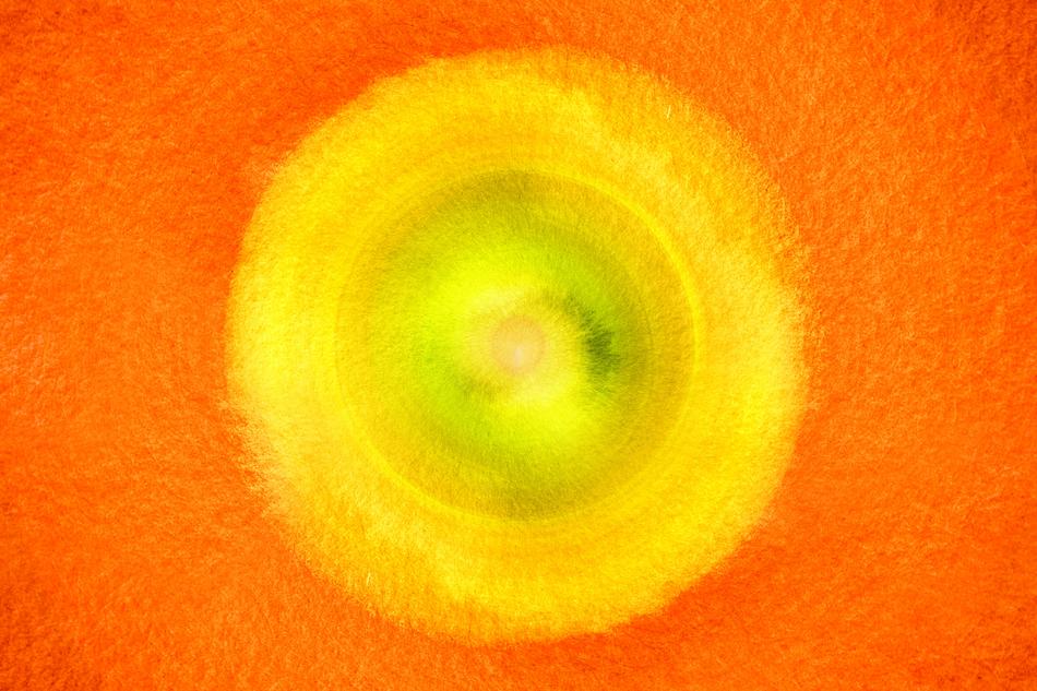 disc round district watercolor