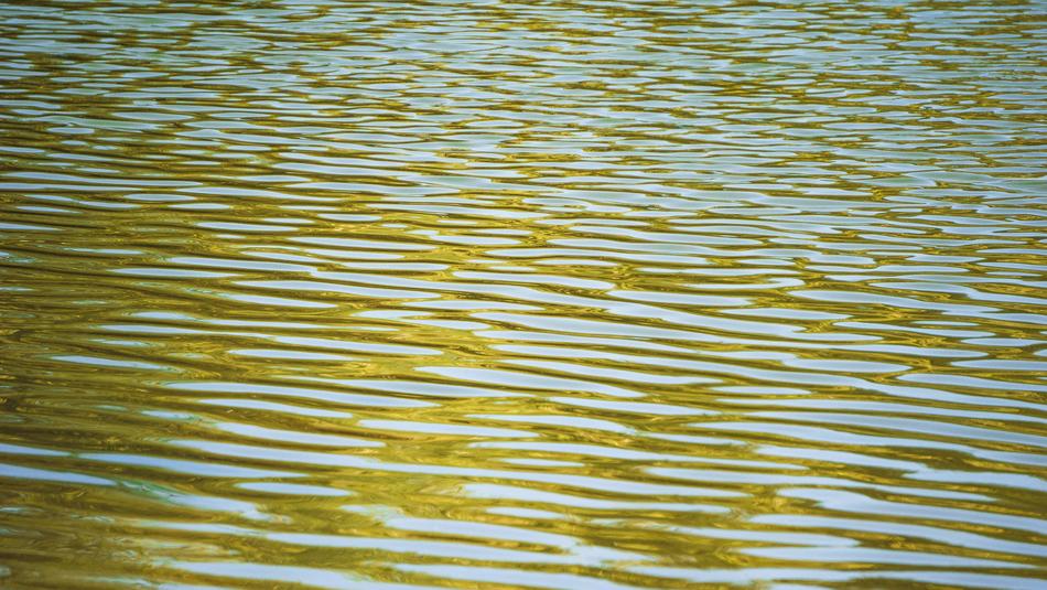 Water Surface macro