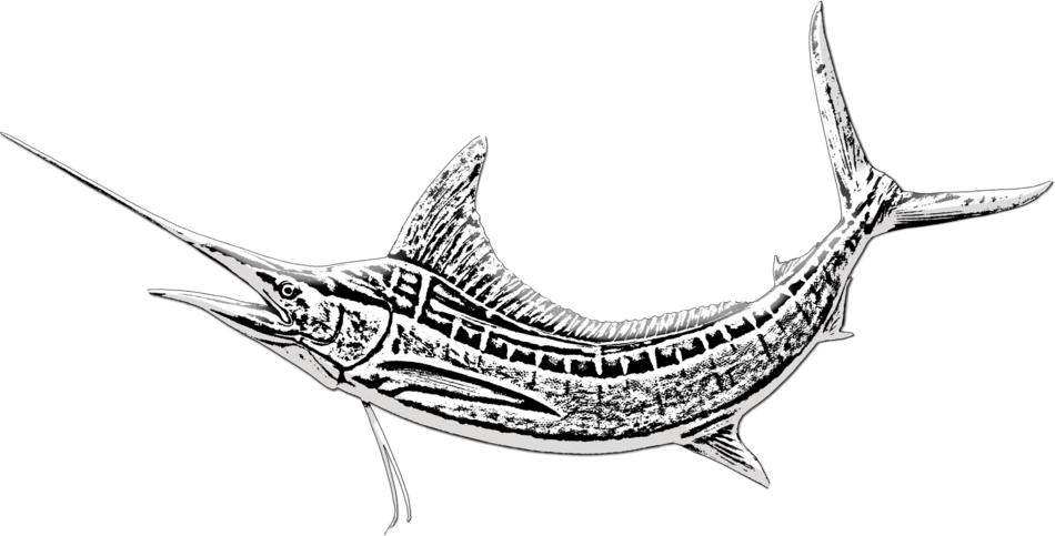 marlin fish sword fish game fishing