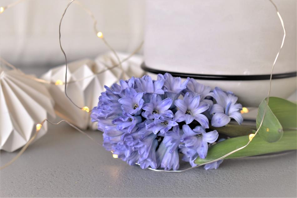 Decoration Deco Table Decorations