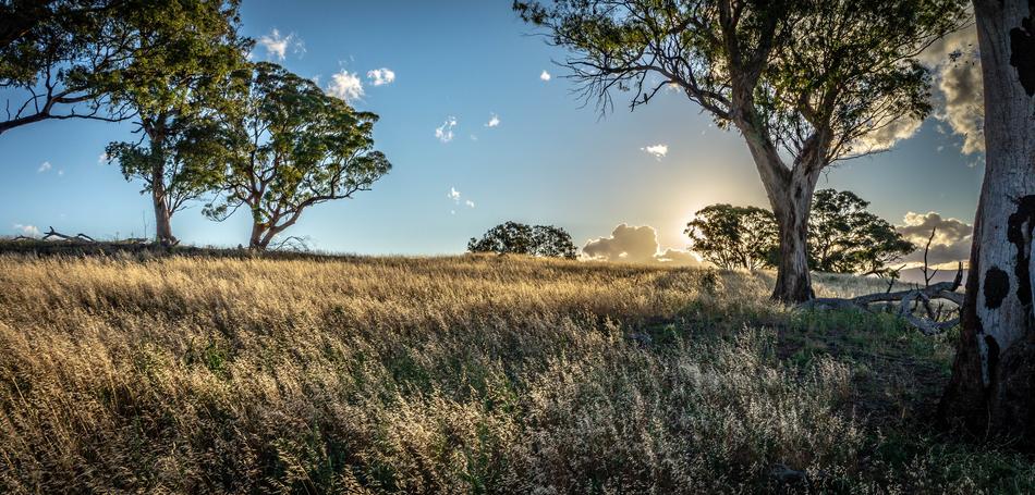 Sunset Evening Landscape