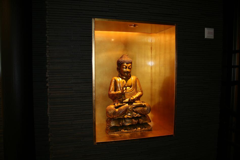 buddha window exhibition