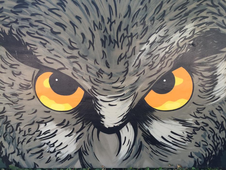 Eagle Owl Art