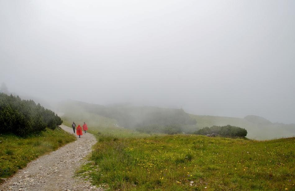 Alps Fog Rainy