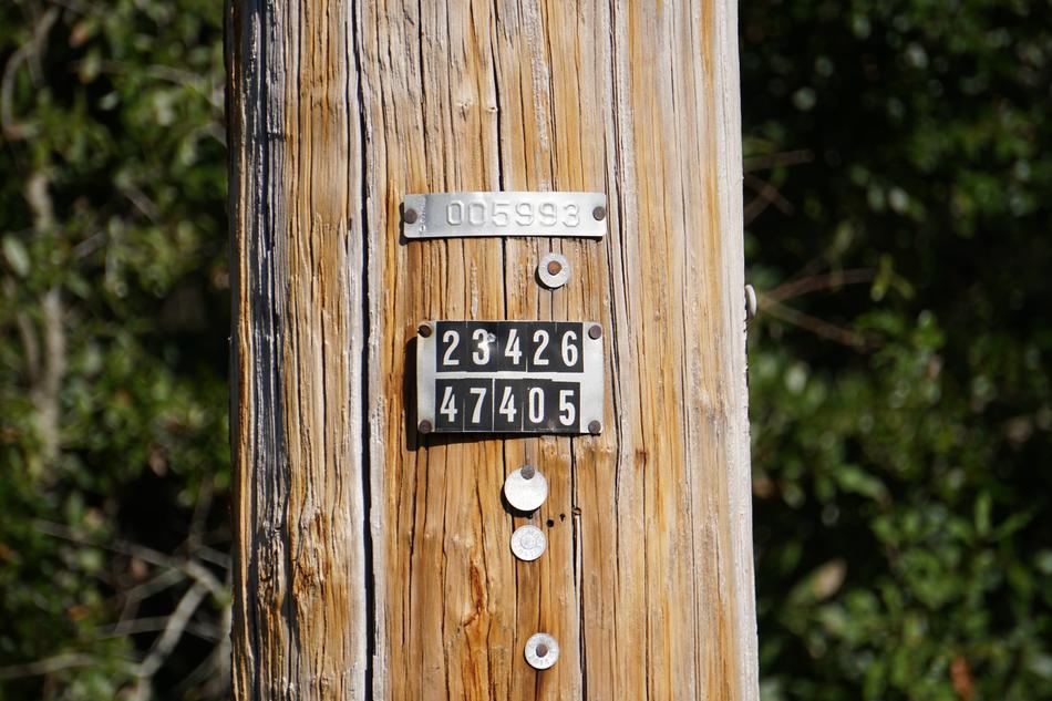 Black and white sign, with the numbers, on the wooden power pole, near the green trees