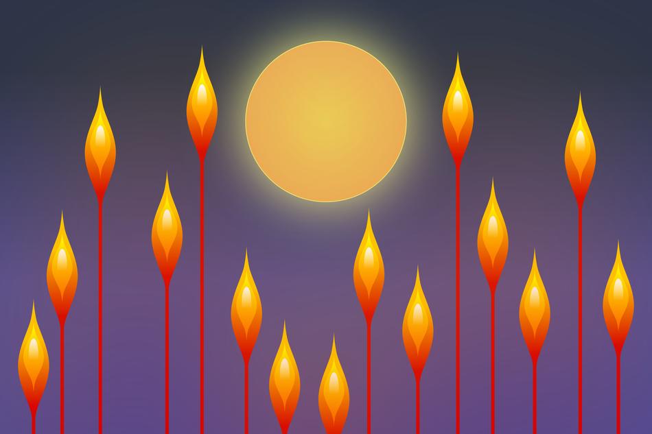 night moon flora background blue