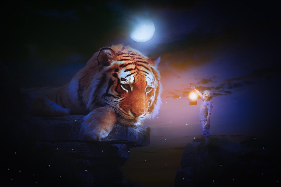Fantasy Manipulation Fairytale