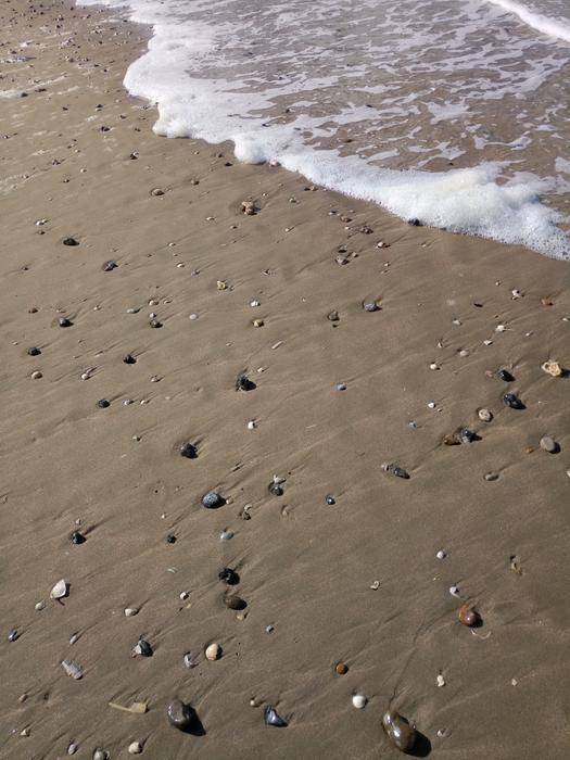 Mussels Beach Shell