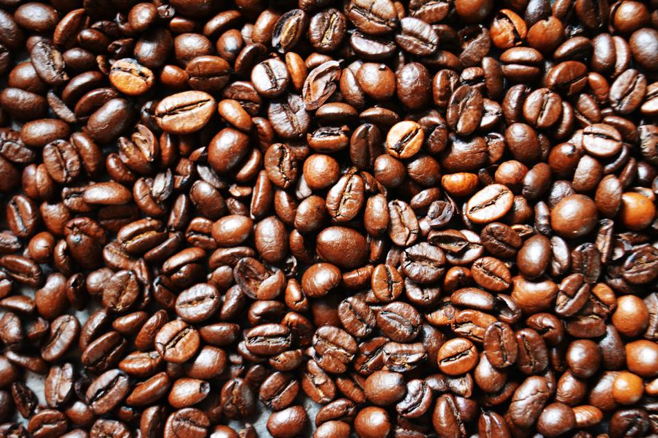 aromatic coffee beans harvest