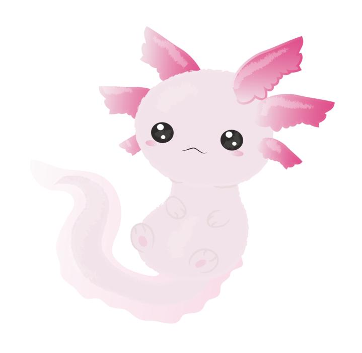 azolotl cute animal